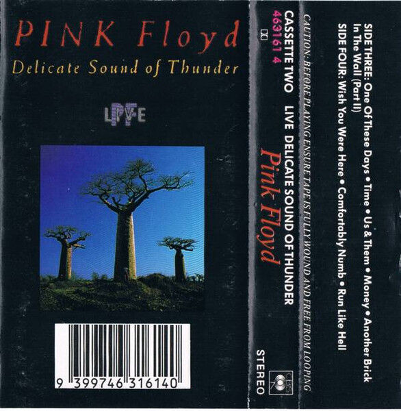 Delicate Sound Of Thunder