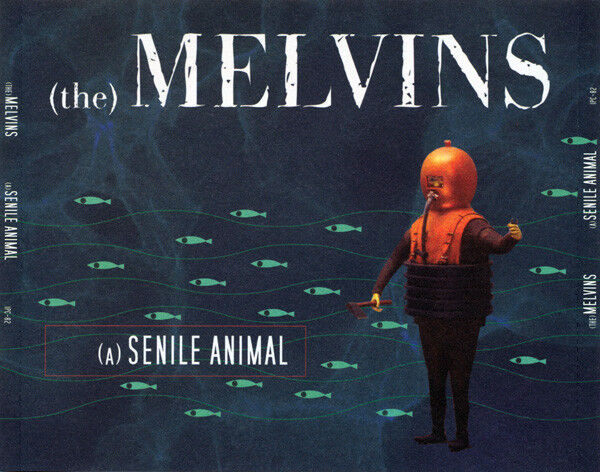 (A) Senile Animal