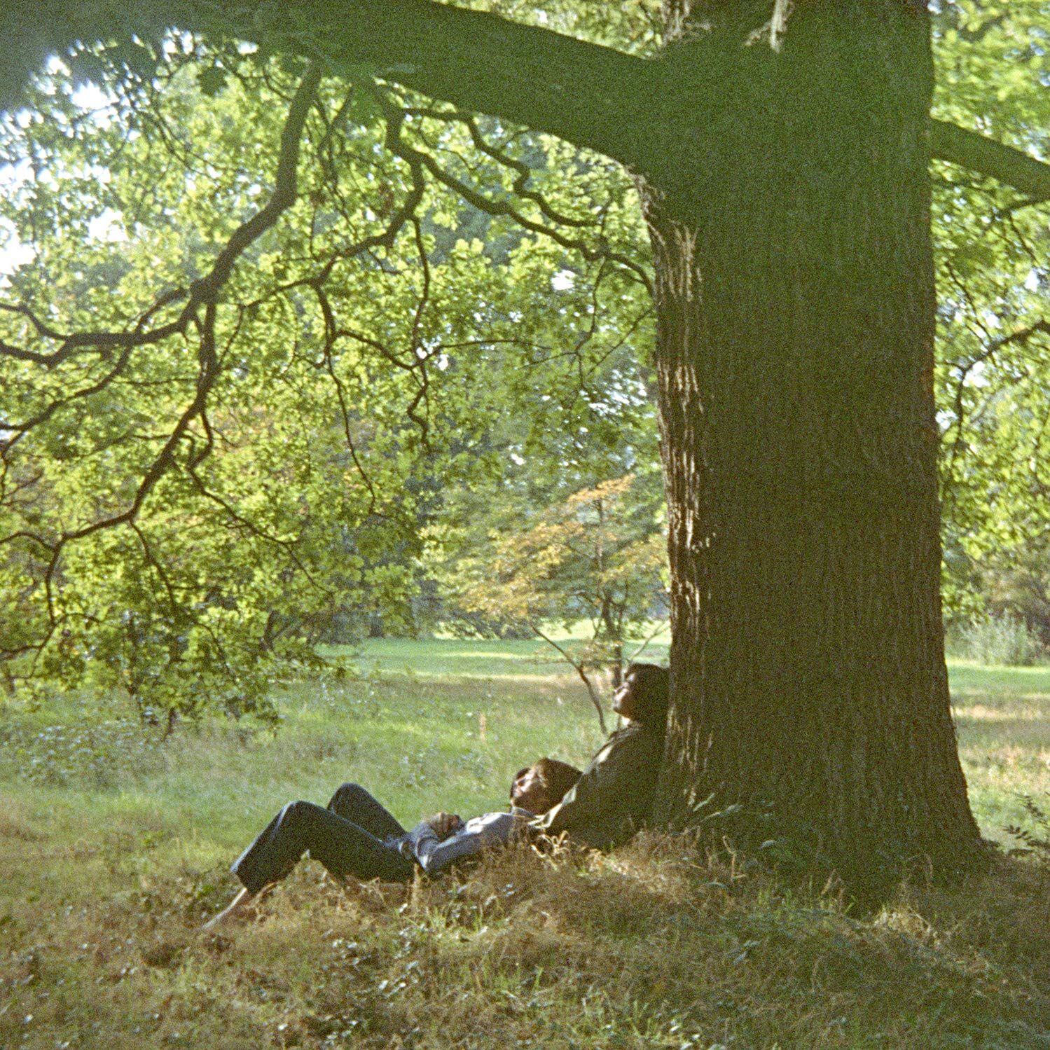 Plastic Ono Band: The Ultimate Mixes