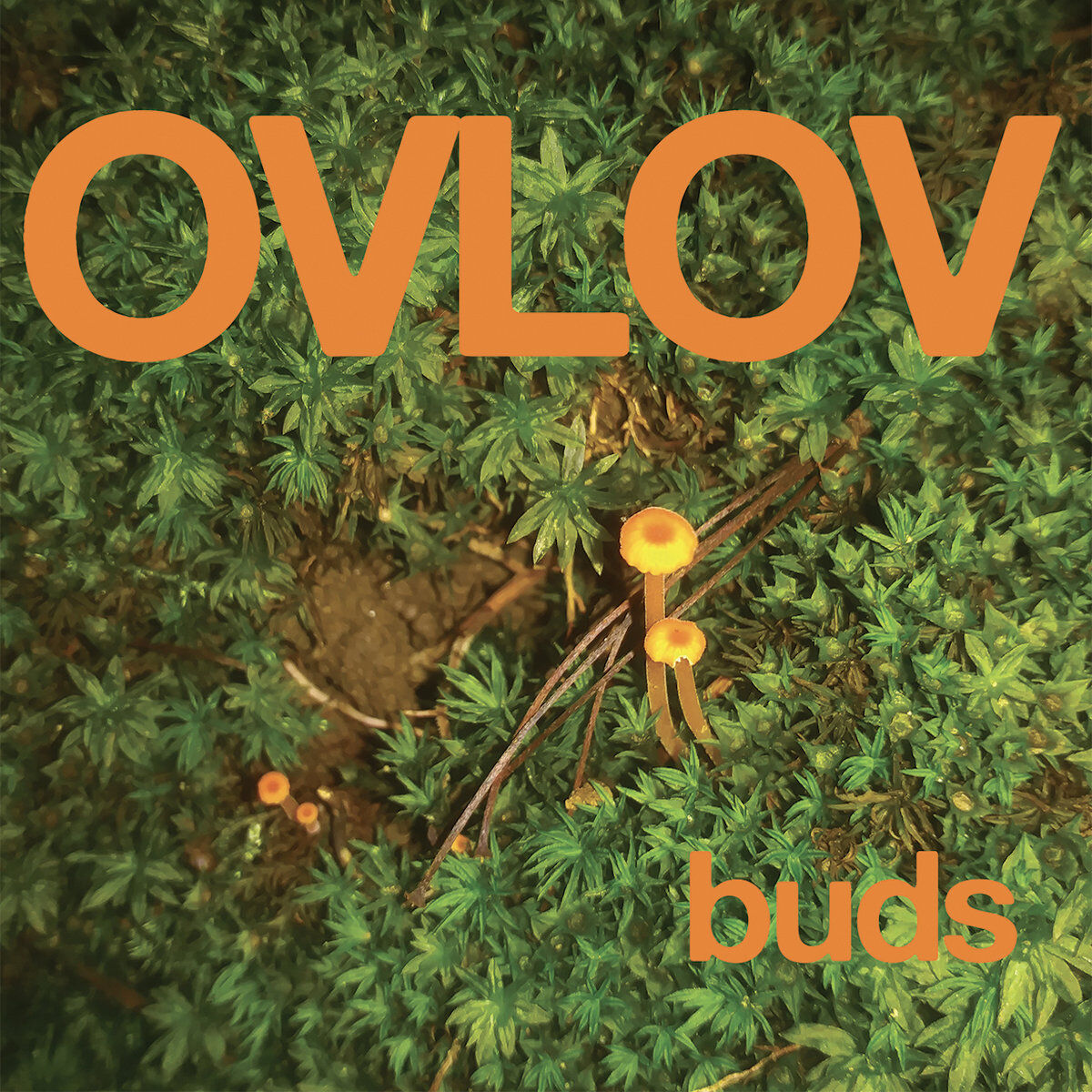 Buds (Orange Vinyl)