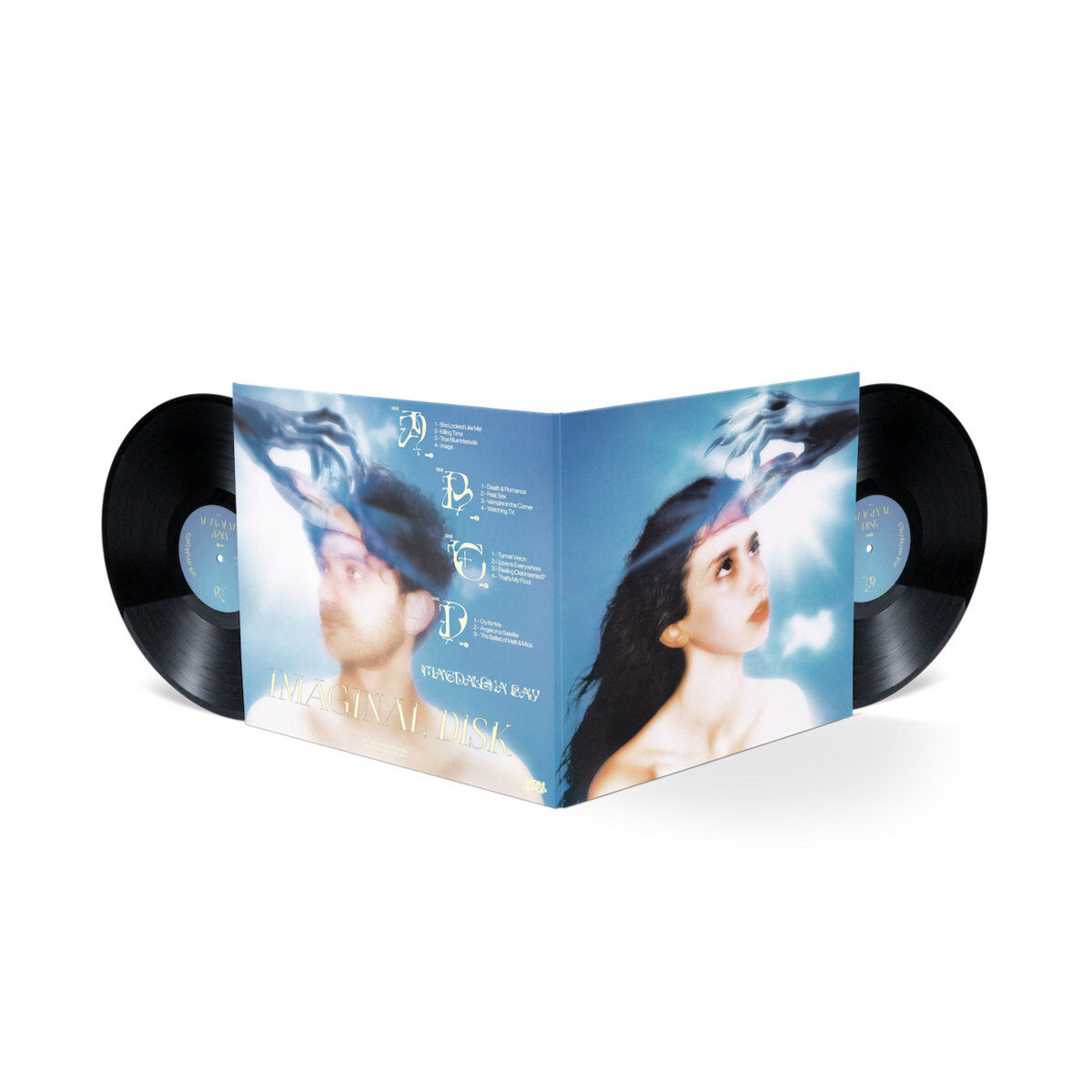 Imaginal Disk