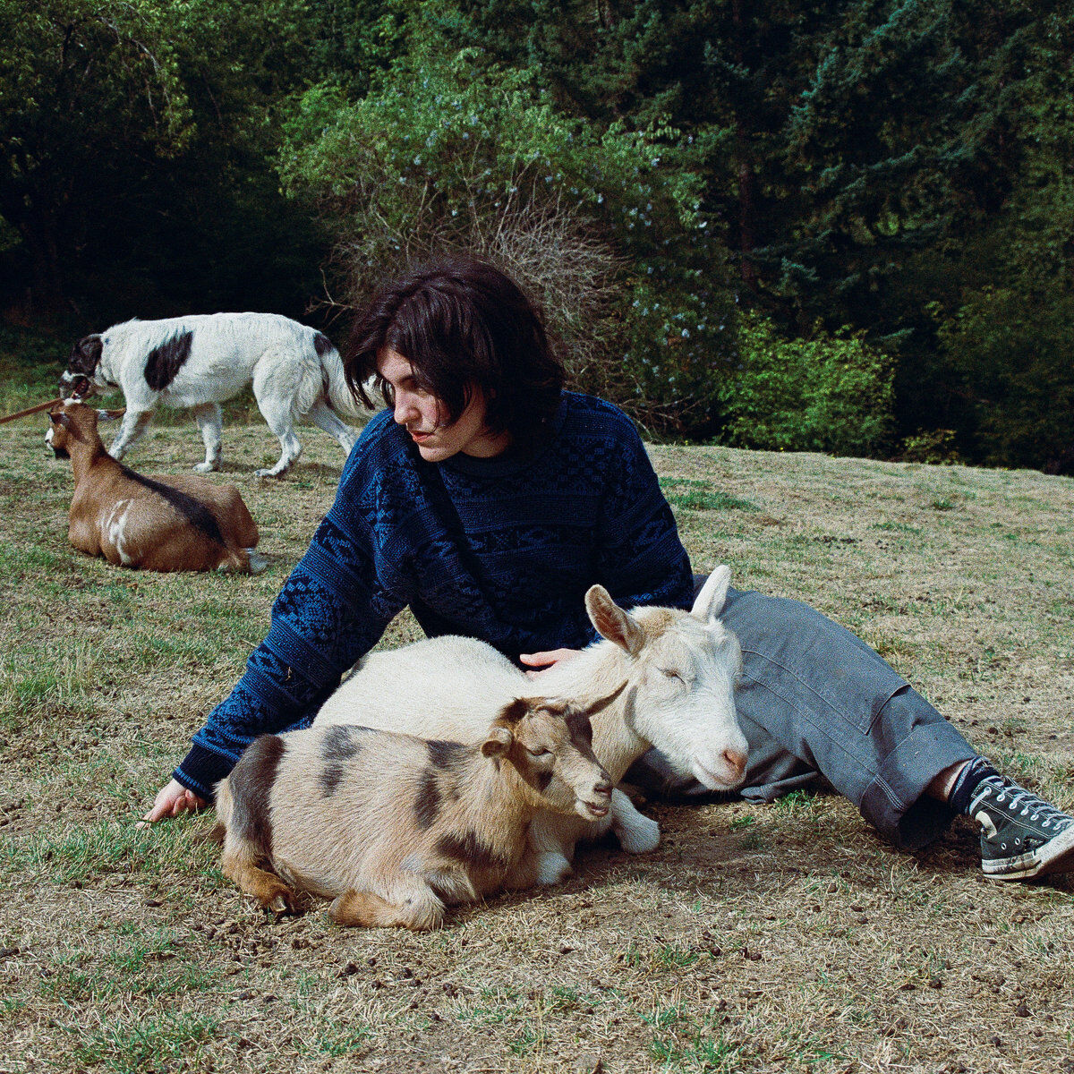 End of the World (Forest Green Vinyl)