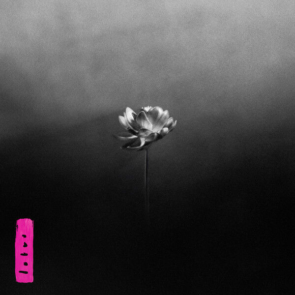 Lotus (Electric Pink Vinyl)