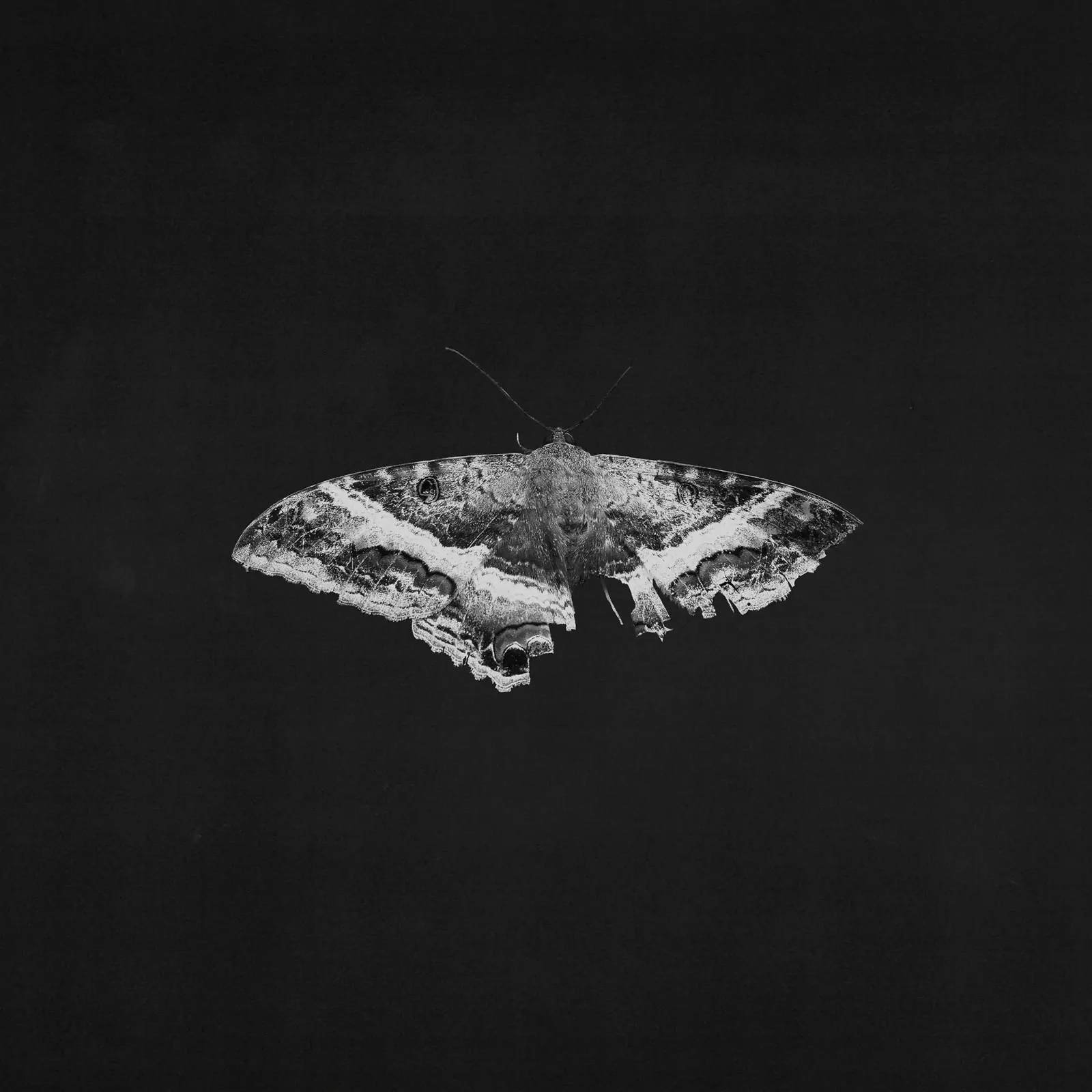 To Pimp A Butterfly (10th Anniversary Metallic Vinyl)