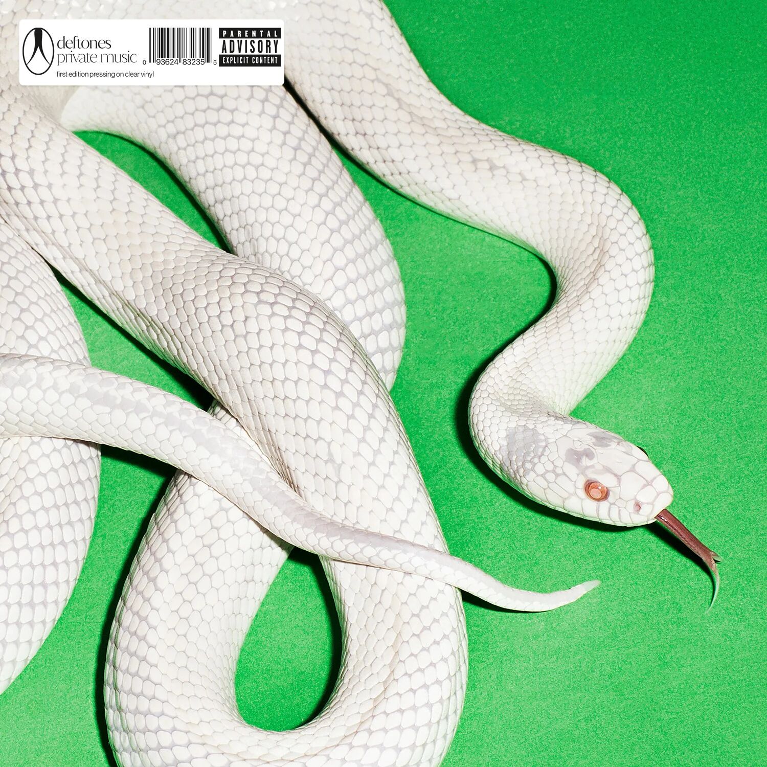 Private Music (Clear Vinyl)