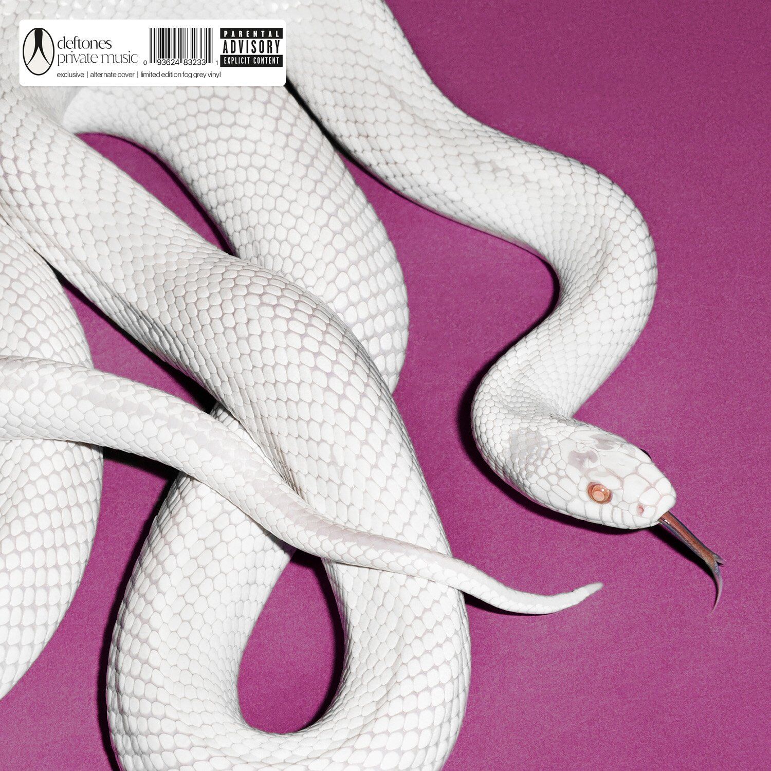 Private Music (Fog Grey Vinyl)