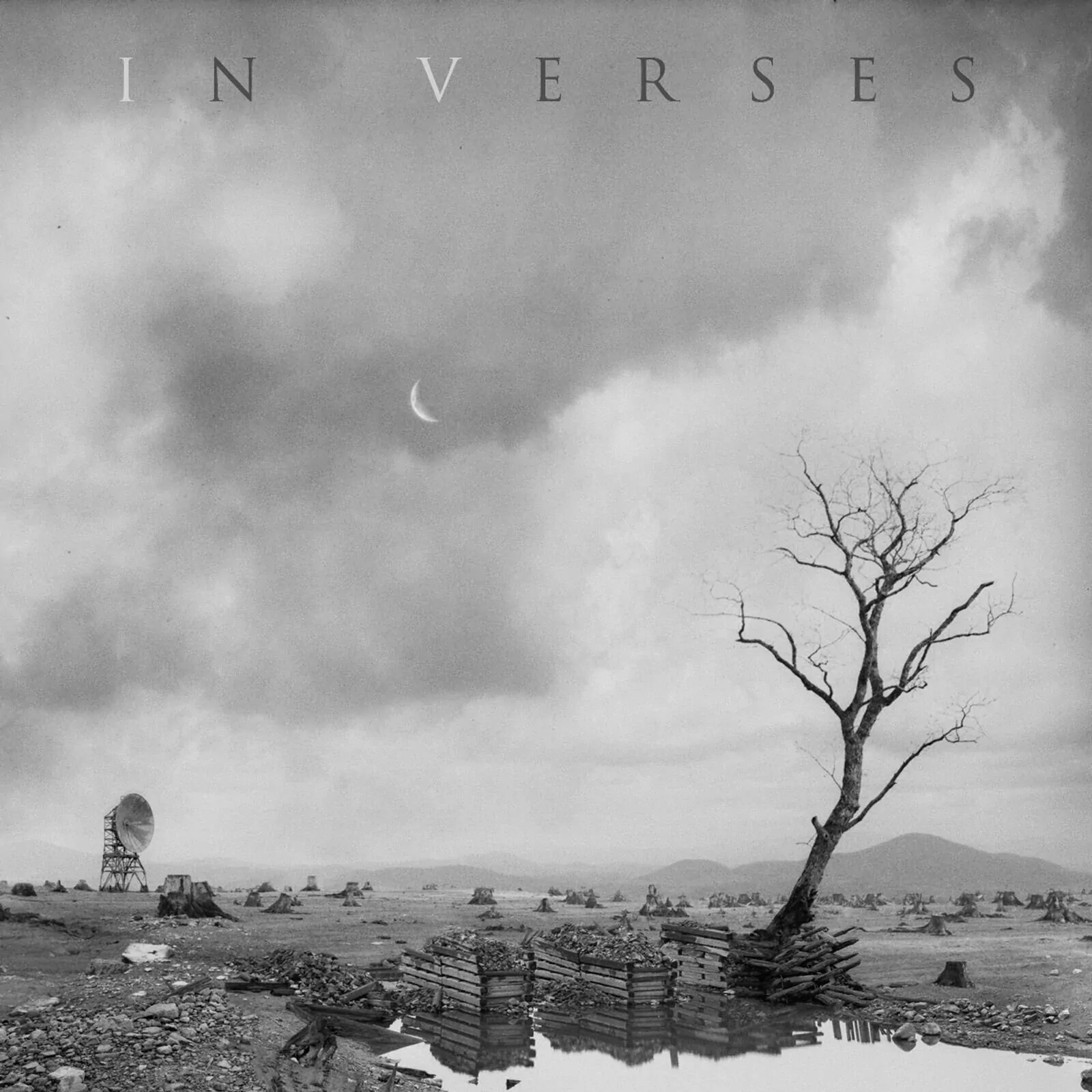 In Verses (Grey Vinyl)