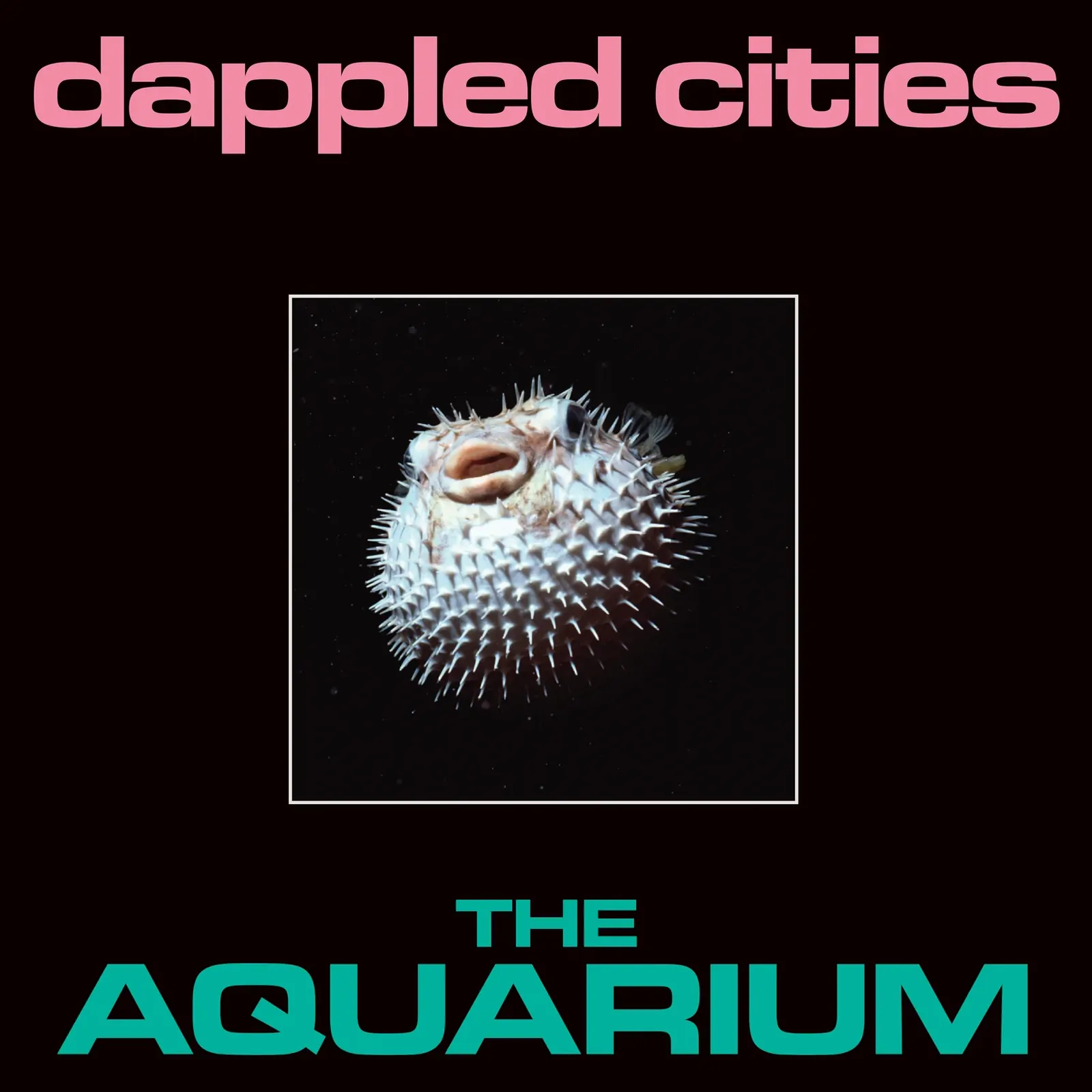 The Aquarium (Clear Vinyl)