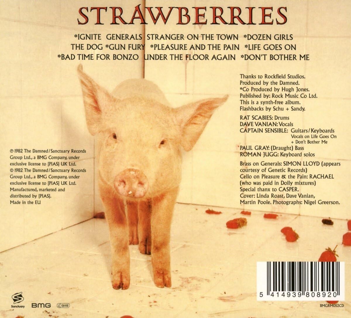 Strawberries