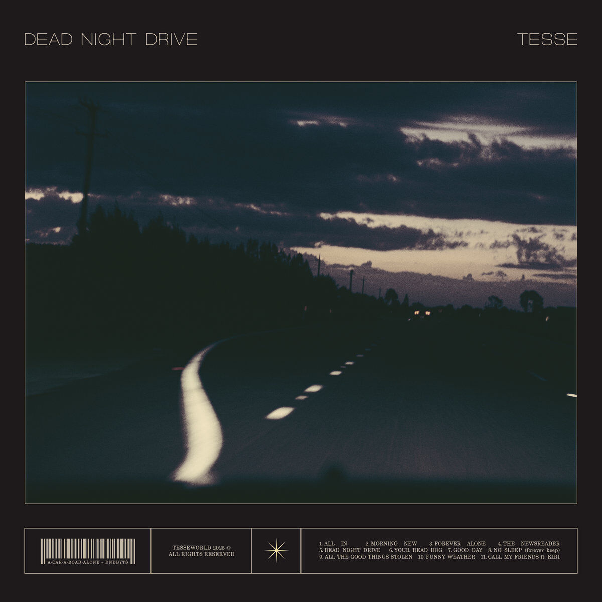 Dead Night Drive