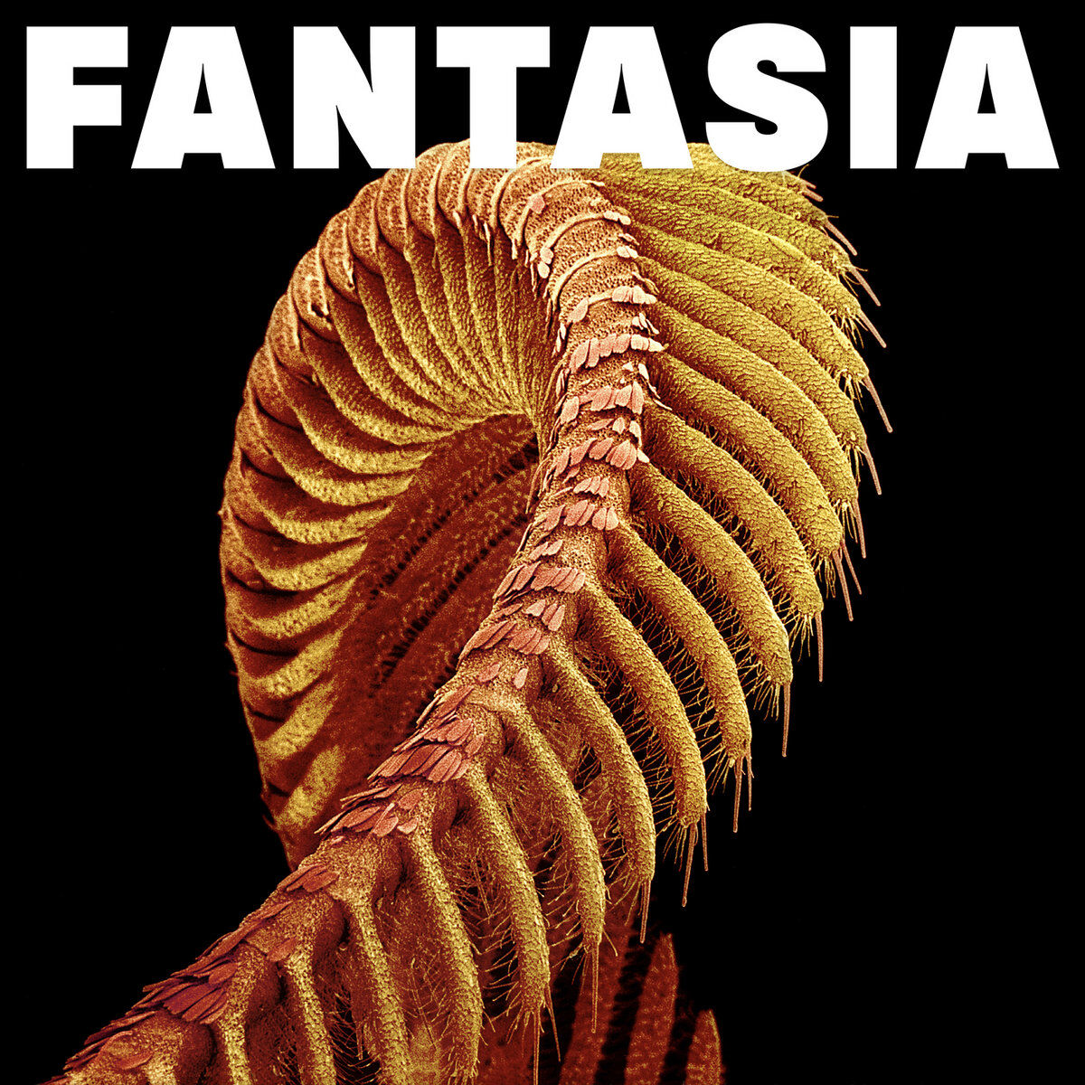 Fantasia (Mustard Vinyl)