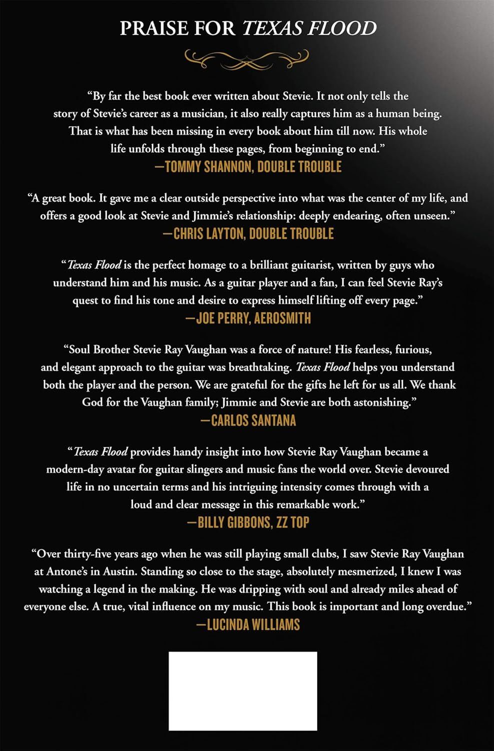 Texas Flood: The Inside Story of Stevie Ray Vaughan by Alan Paul