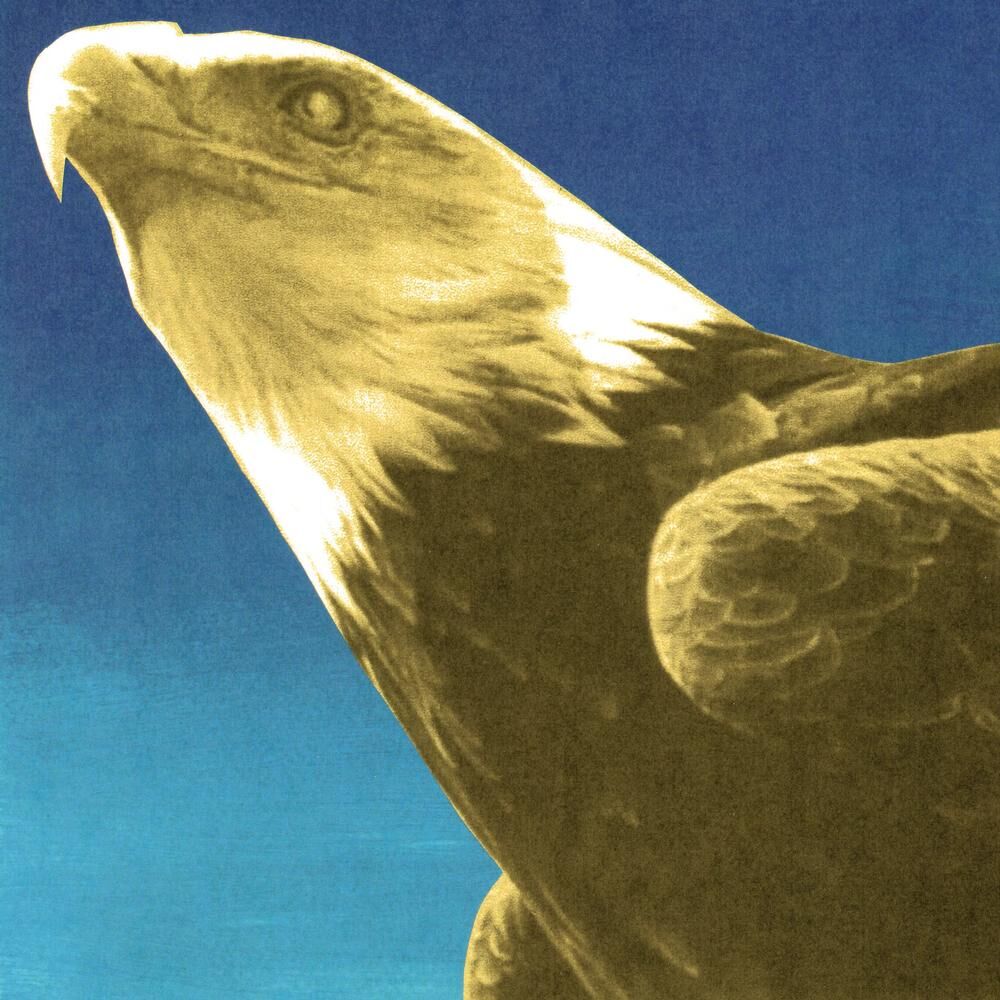 Hotel Usona (Gold Vinyl)