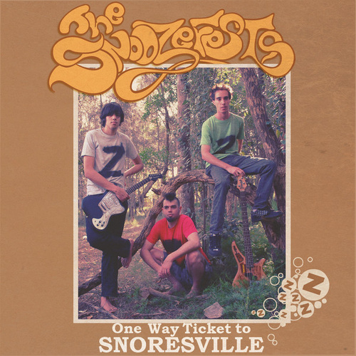 One Way Ticket To Snoreville