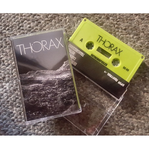 Thorax
