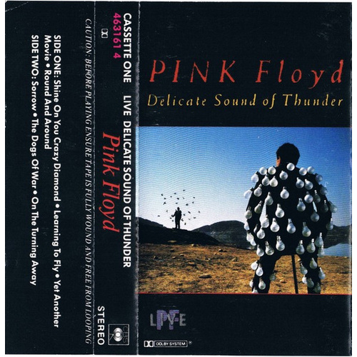 Delicate Sound Of Thunder