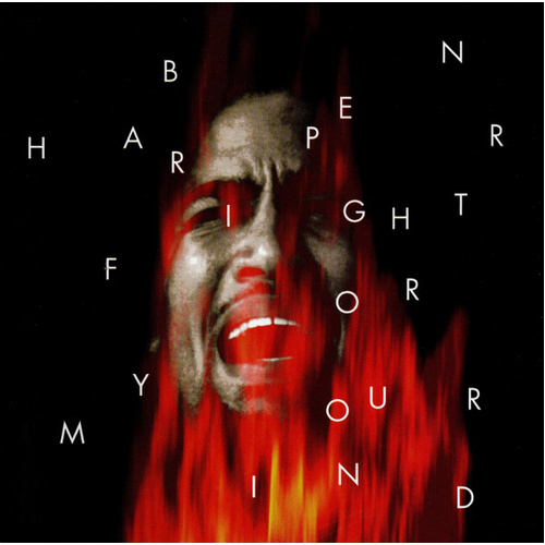 Fight For Your Mind
