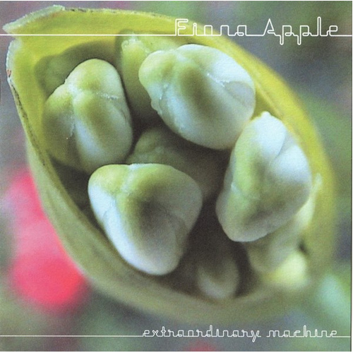 Extraordinary Machine (CD/DVD)