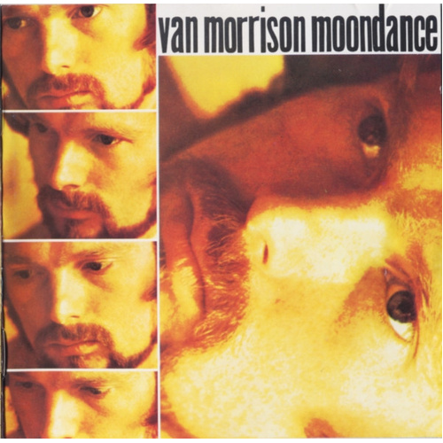 Moondance