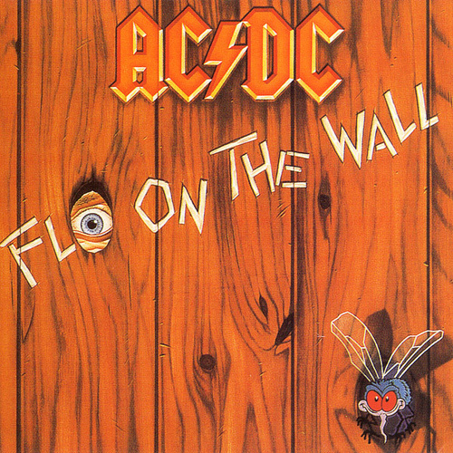 Fly On The Wall