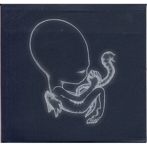 Agaetis Byrjum