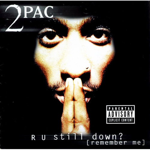 R U Still Down? (Remember Me)