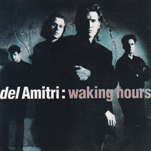 Waking Hours
