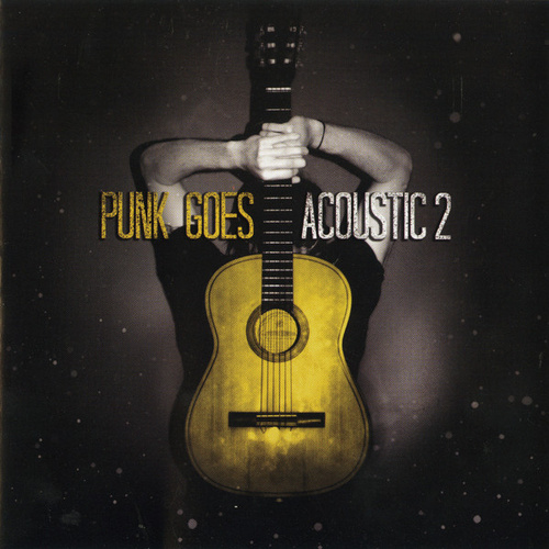 Punk Goes Acoustic 2