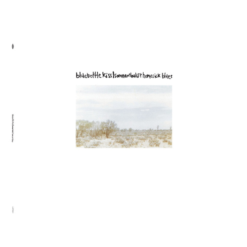 Somnambulist Homesick Blues