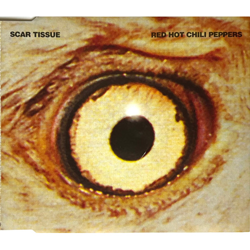 Scar Tissue