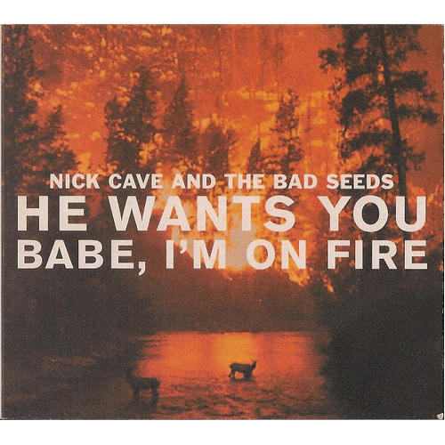 He Wants You / Babe, I'm On Fire