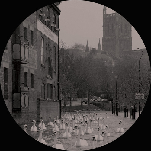 Bad Hope / Bad Despair