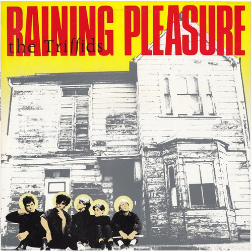 Raining Pleasure