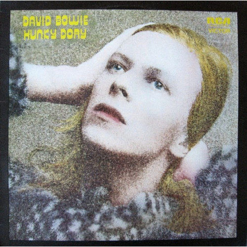 Hunky Dory
