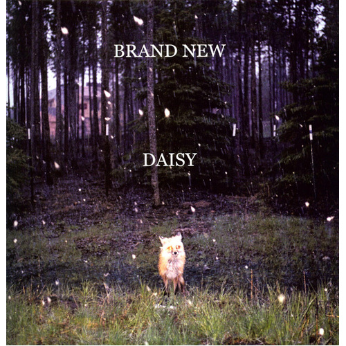 Daisy