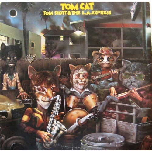 Tom Cat