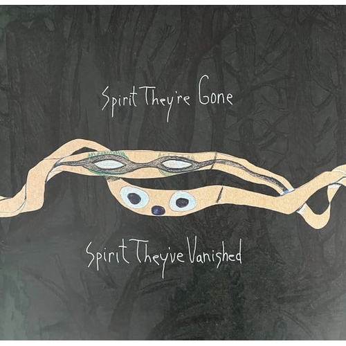 Spirit Theyre Gone Spirit Theyre Vanished