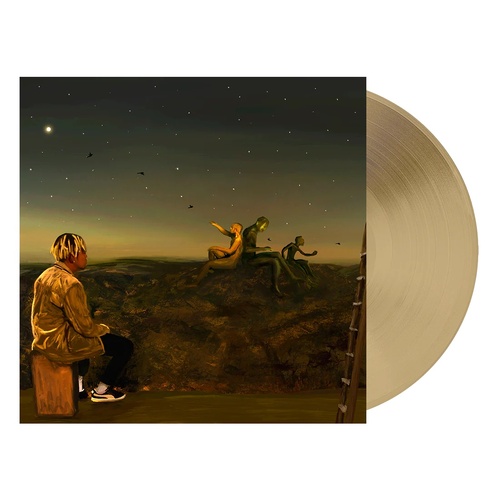 From A Birds Eye View (Tan Vinyl)