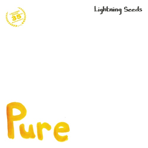 Pure / All I Want (RSD 2024)
