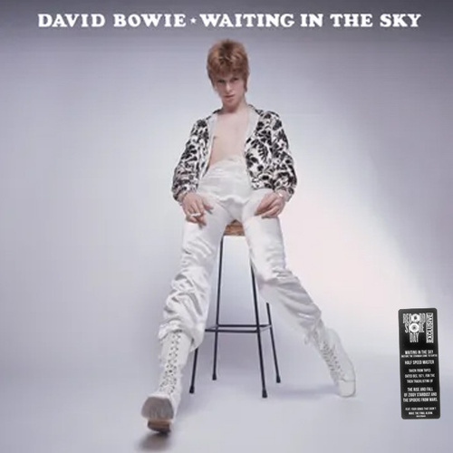 Waiting In The Sky (RSD 2024)