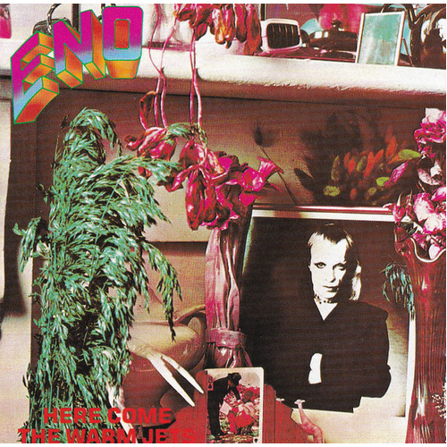 Here Come The Warm Jets