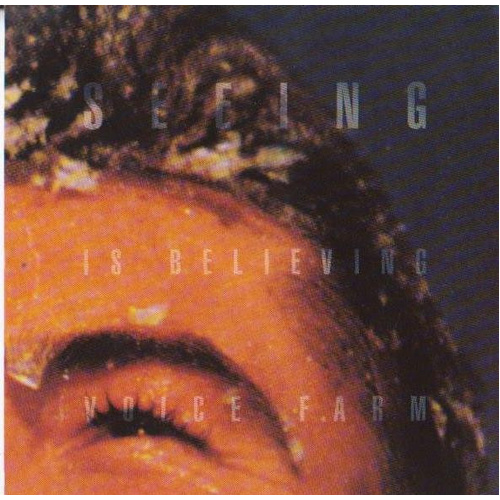 Seeing Is Believing