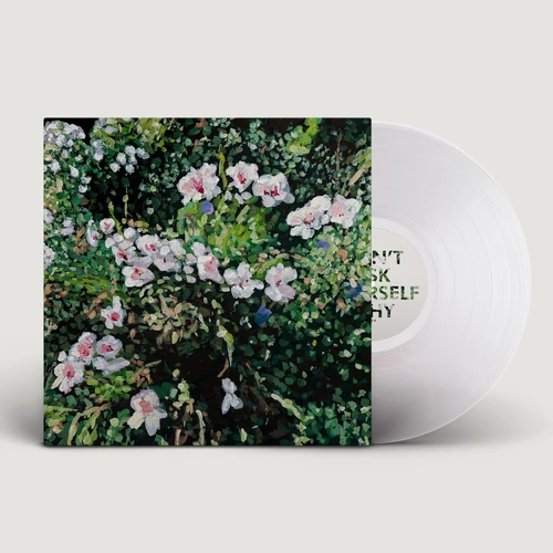 Dont Ask Yourself Why (Clear Vinyl)