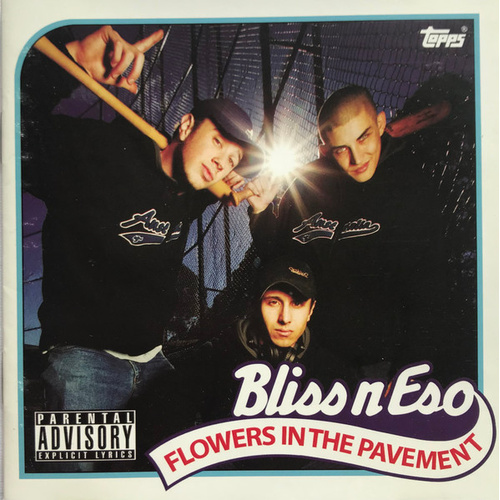 Flowers In The Pavement