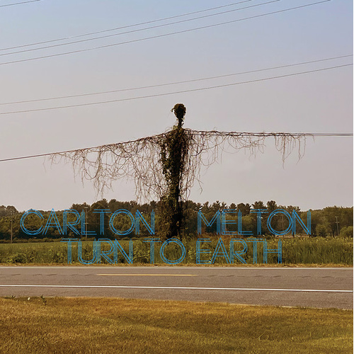 Turn To Earth (Blue & Green Vinyl)