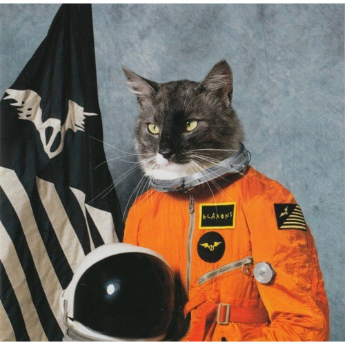 Surfing The Void