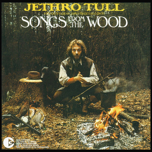 Songs From The Wood