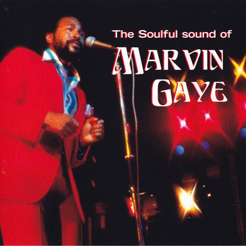 The Soulful Sound Of Marvin Gaye