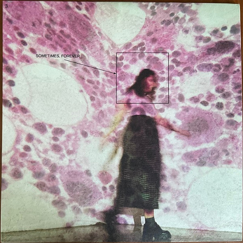 Sometimes Forever (Pink And Black Splatter Vinyl)