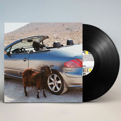 Prove The Mountains Move